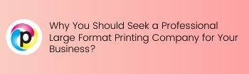 Why You Should Seek a Professional Large Format Printing Company for Your Business