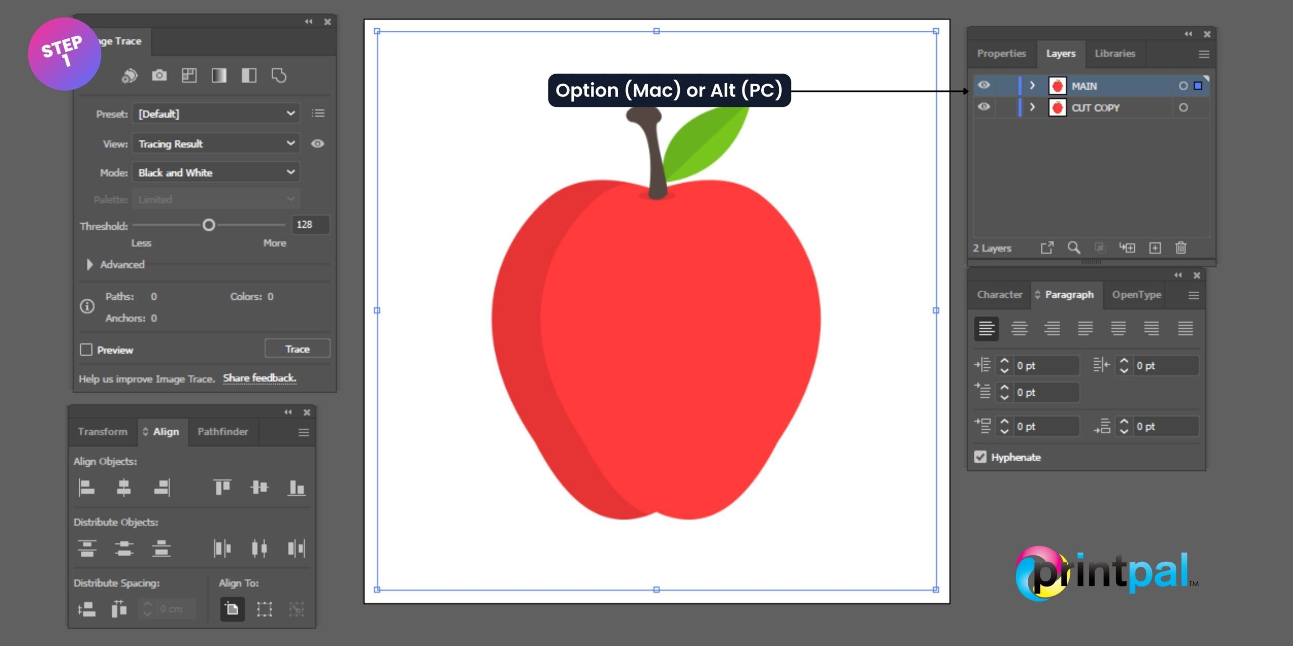 Raster Images Cut Contour 1 scaled