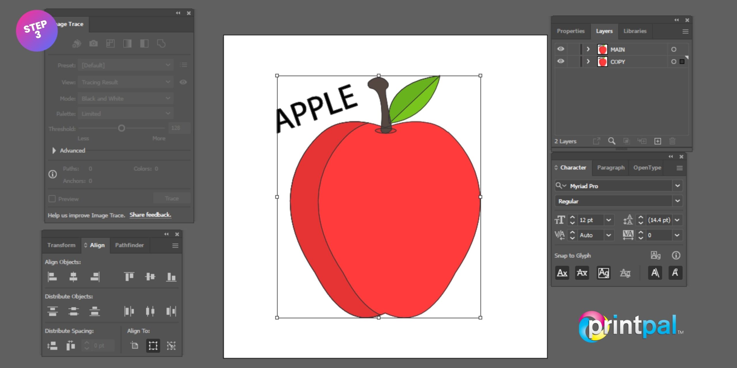 Vector Cut Contour Step 3 scaled